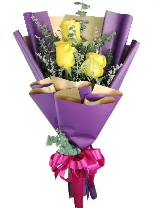 3 yellow ecua purple/gold