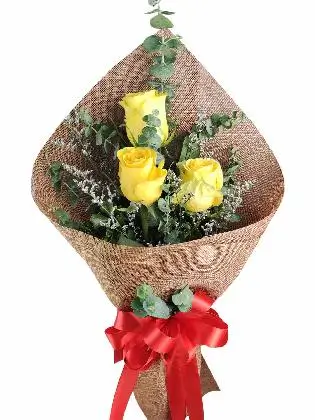 3 yellow ecua Burlap CH