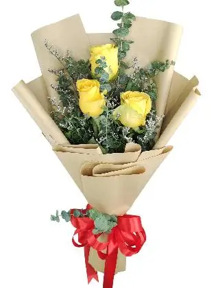 3 yellow ecua kraft
