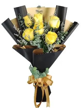 6 yellow ecua black/gold