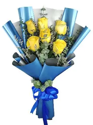 6 yellow ecua blue/silver