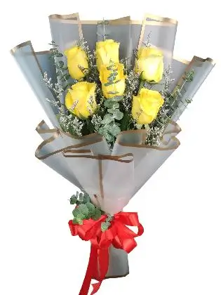 6 yellow ecua white