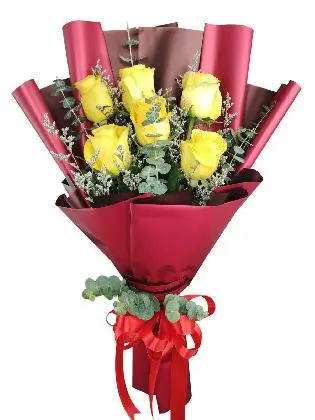 6 yellow ecua maroon