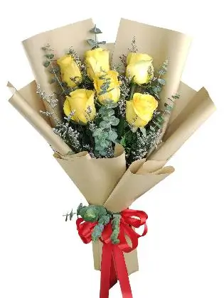 6 yellow ecua kraft