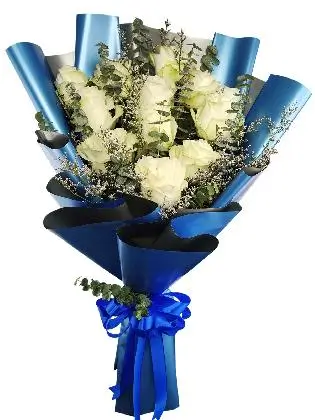 12 white ecua blue/silver