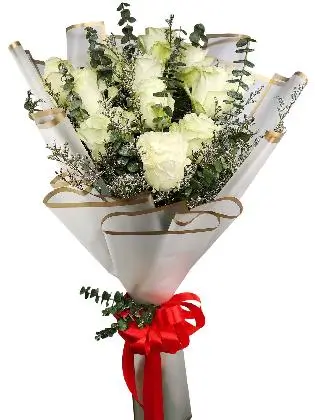 12 white ecua white