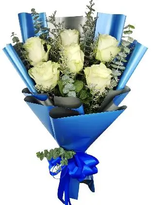 6 white ecua blue/silver
