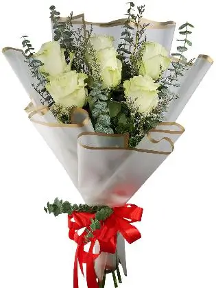 6 white ecua white