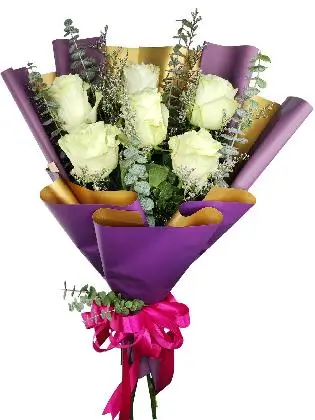 6 white ecua purple