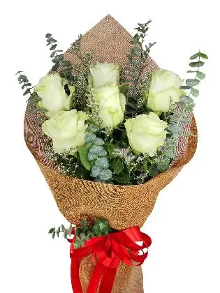 6 white ecua burlap CH