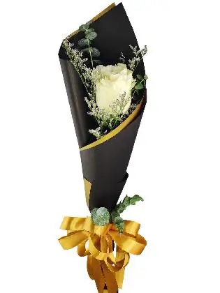 1 white ecua black/gold