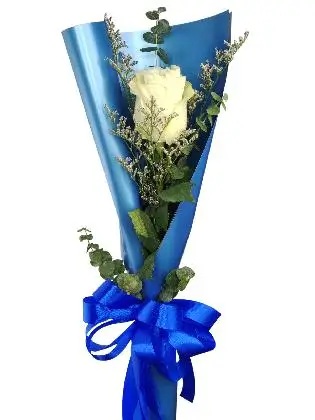 1 white ecua blue/silver