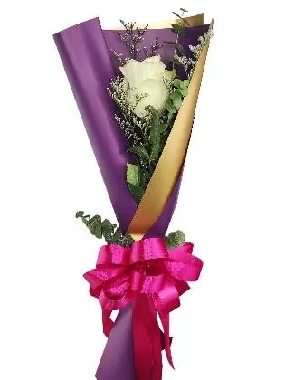 1 white ecua purple/gold