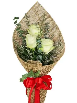 3 white ecua burlap PH