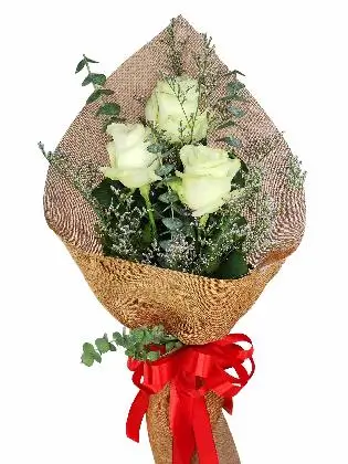 3 white ecua burlap CH