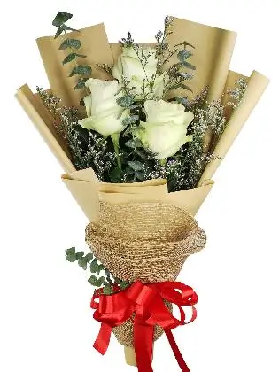 3 white ecua kraft jute