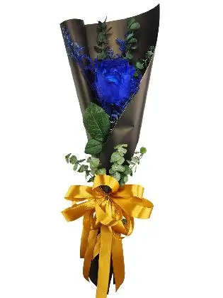 1 blue ecua black/gold