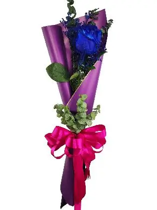 1 blue ecuadorian purple/gold