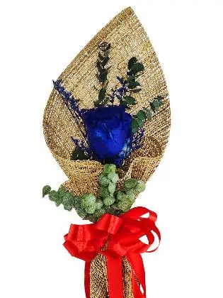 1 blue ecua burlap PH
