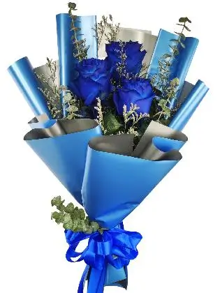 3 blue ecua blue/silver