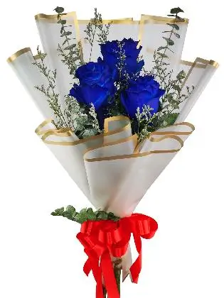 3 ecua blue white