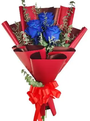 3 blue ecua maroon