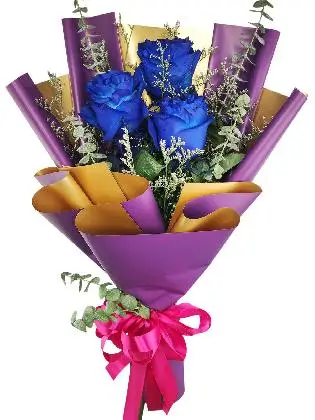 3 blue ecua purple
