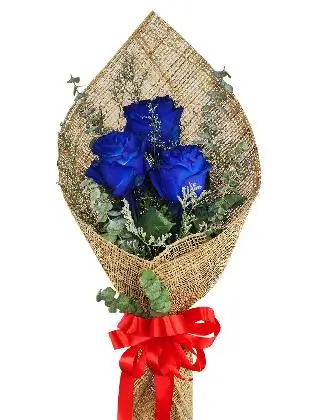 3 ecua burlap PH