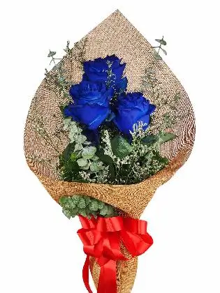 3 blue ecua burlap CH