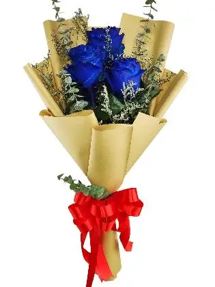 3 blue ecua kraft