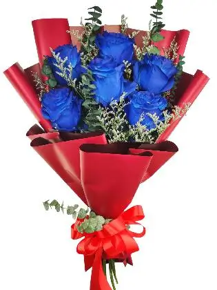 6 blue ecua maroon