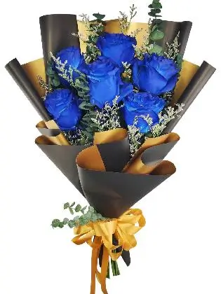 6 ecua blue black/gold