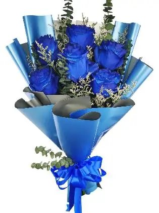 6 blue ecua blue/silver