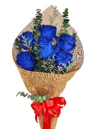 6 blue ecua burlap CH