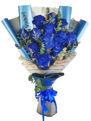 12 blue ecua blue/silver