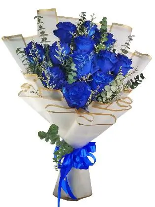 12 blue ecua white