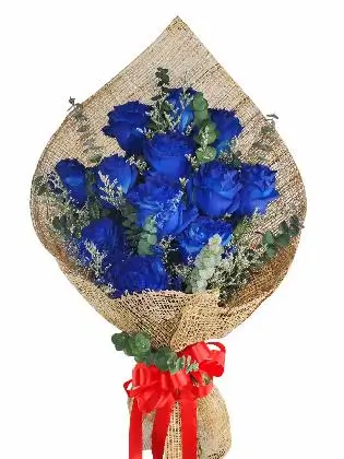 12 blue ecua burlap PH