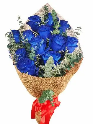 12 blue ecua burlap CH