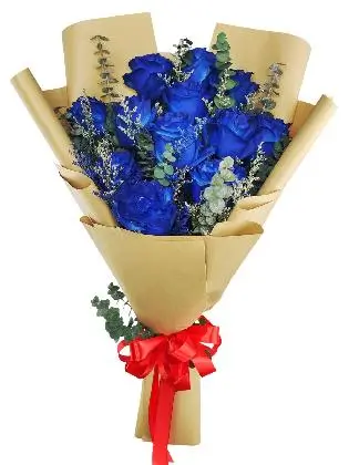 12  blue ecua kraft