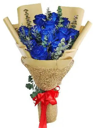 12 ecua blue kraft jute