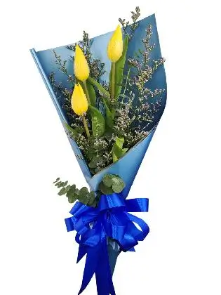 3 yellow tulips blue/silver