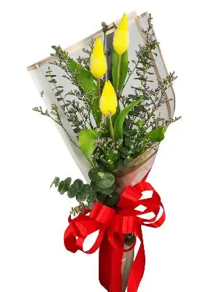 3 yellow tulips white