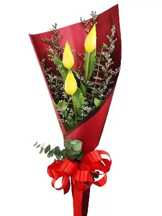 3 yellow tulips maroon