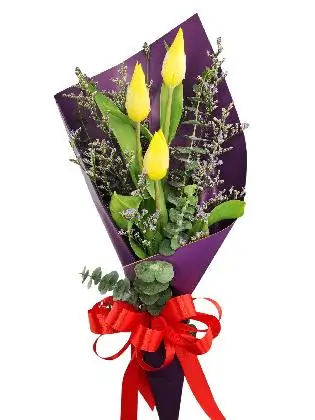 3 yellow tulips purple/gold