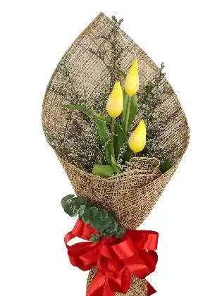 3 yellow tulips burlap PH