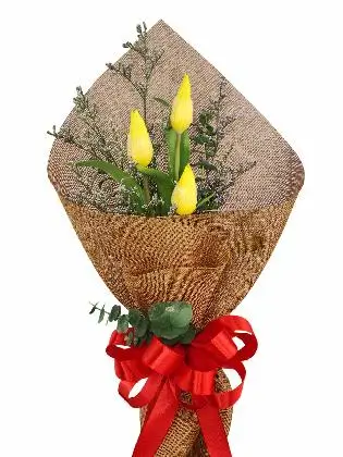 3 yellow tulips CH