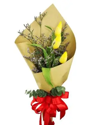 3 yellow tulips kraft