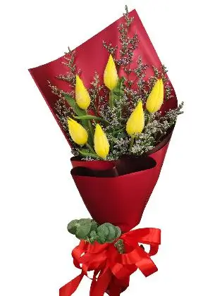 6 yellow tulips maroon