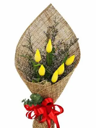 6 yellow tulips burlap PH