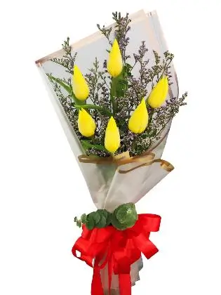 6 yellow tulips white